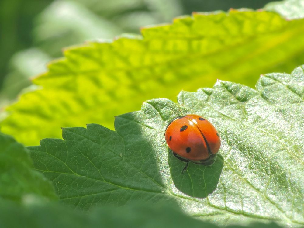 Photograph by Gotcha Biniashvili