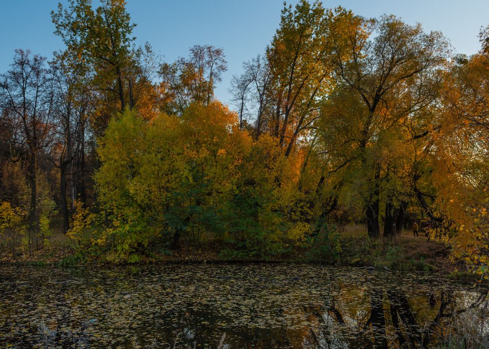 Photograph by Марина Короткова