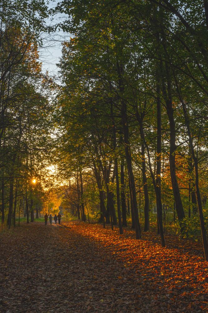 Photograph by Марина Короткова