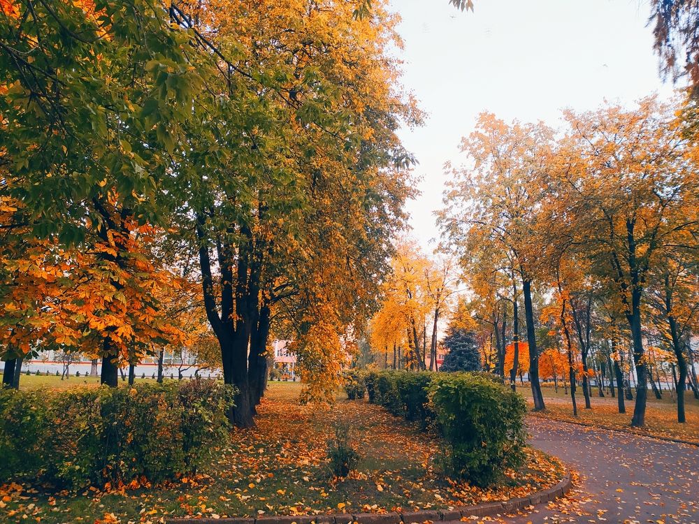 Photograph by Ирина Половцева