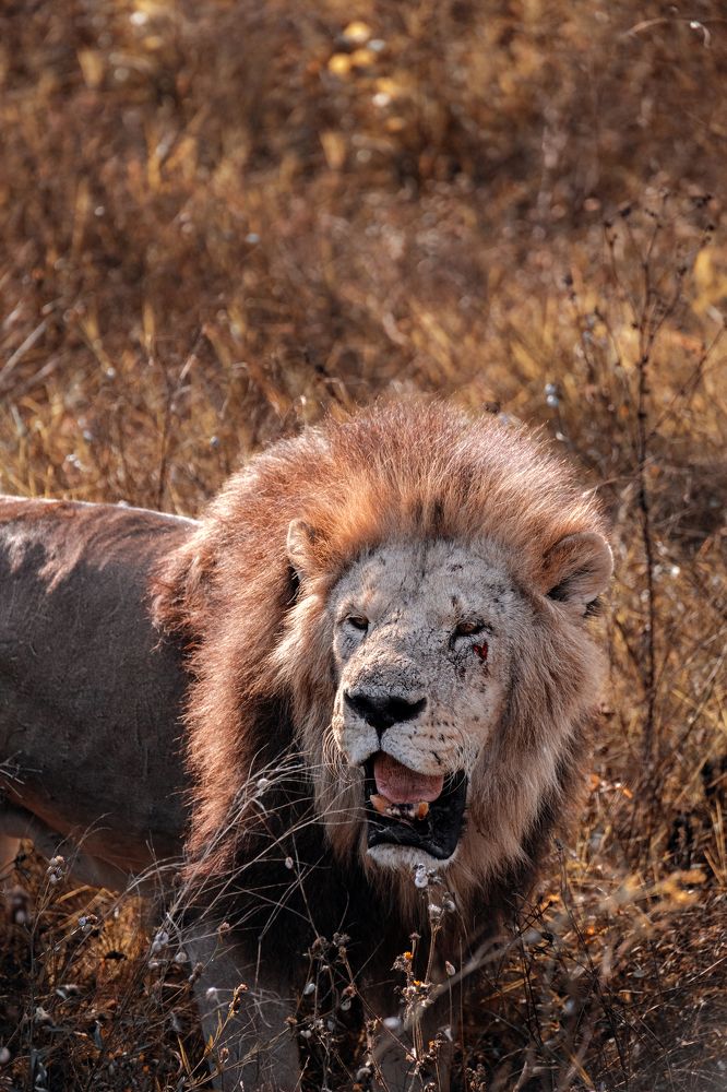 Photograph by Александр Шинкаревский