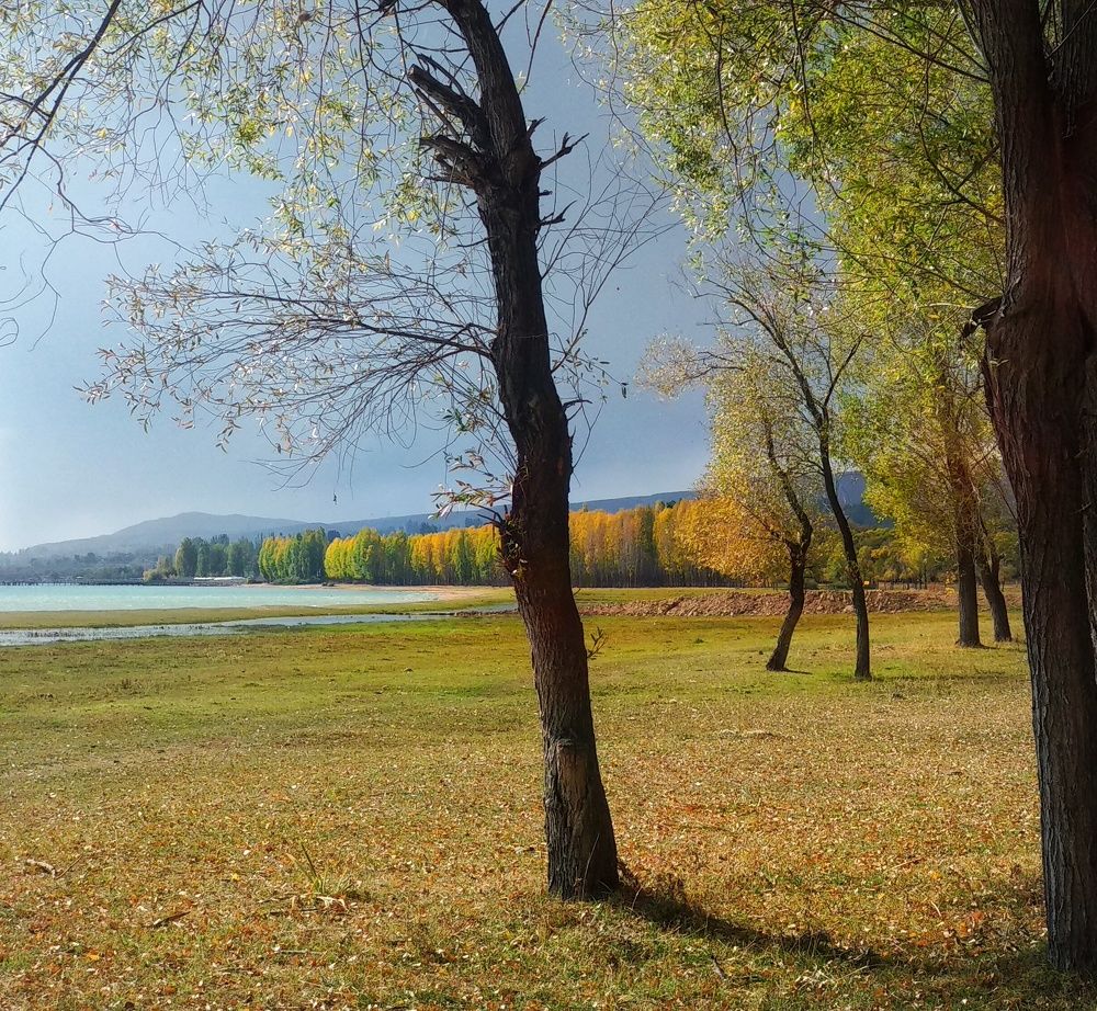 Photograph by Орынбек Асилбаев