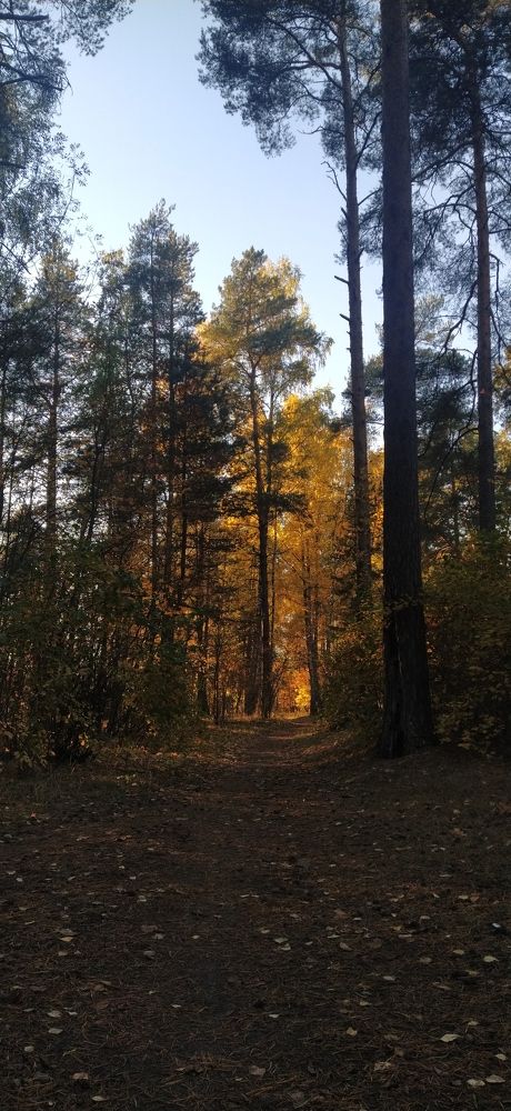 Photograph by Александра Храмцова