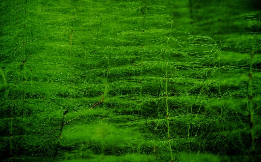 Photograph by Евгений Жиляев