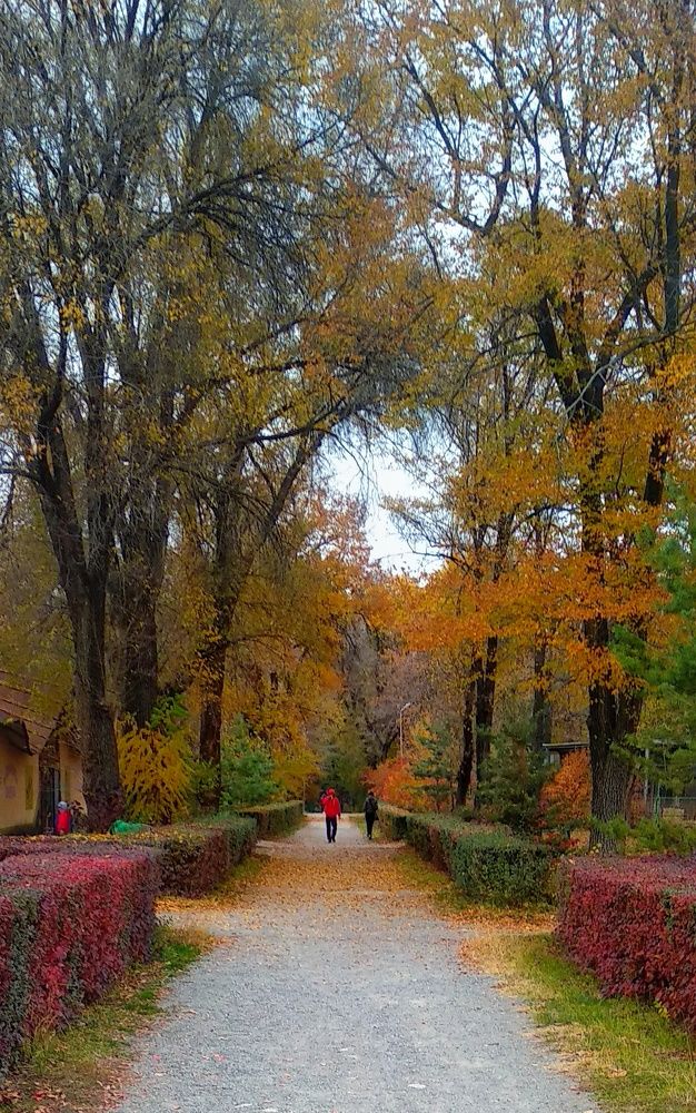 Photograph by Орынбек Асилбаев