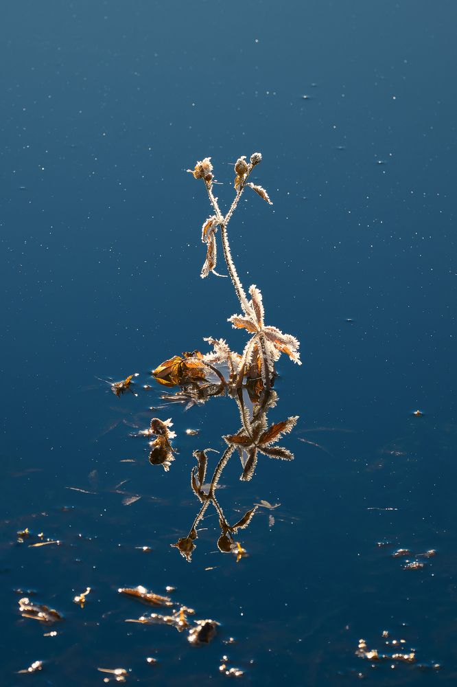 Photograph by Наталья Лабодина