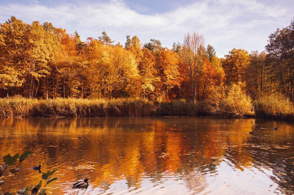 Photograph by Екатерина Шефер