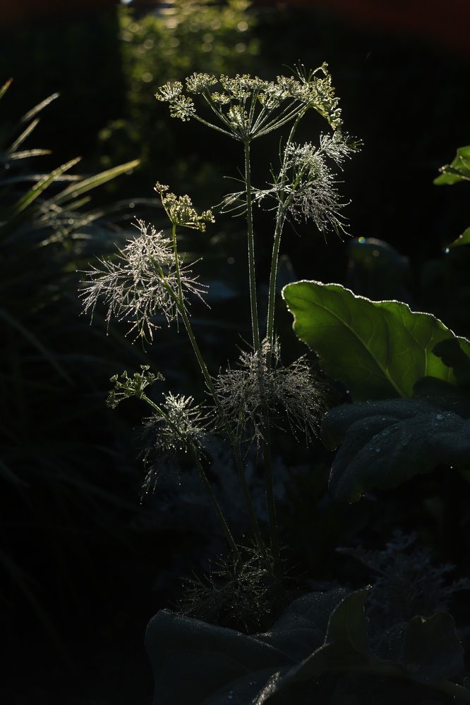 Photograph by Анастасия Павлова