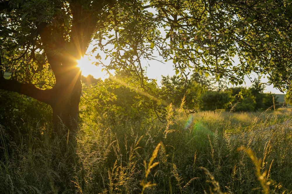 Photograph by Екатерина Шефер