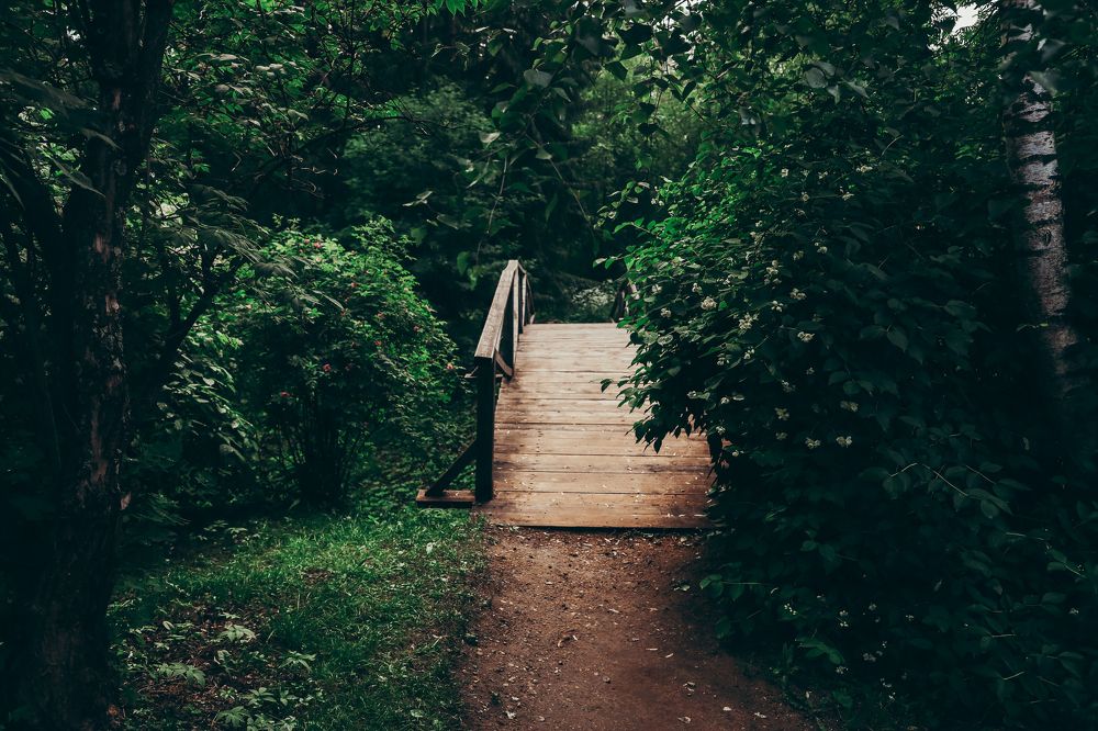 Photograph by Валерия Паули