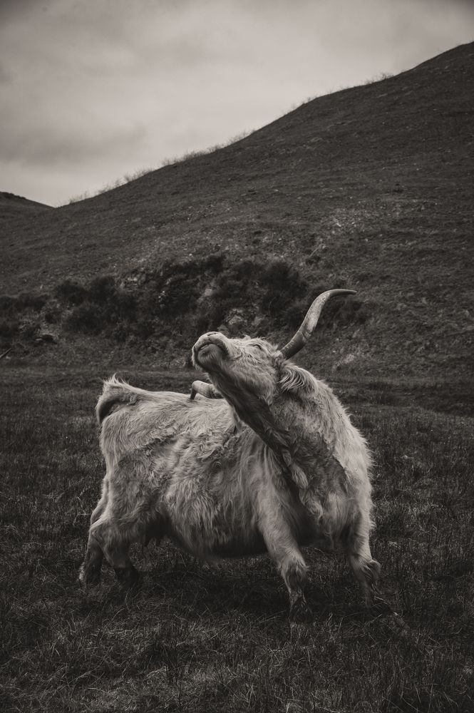 Photograph by Ekaterina Erofeeva