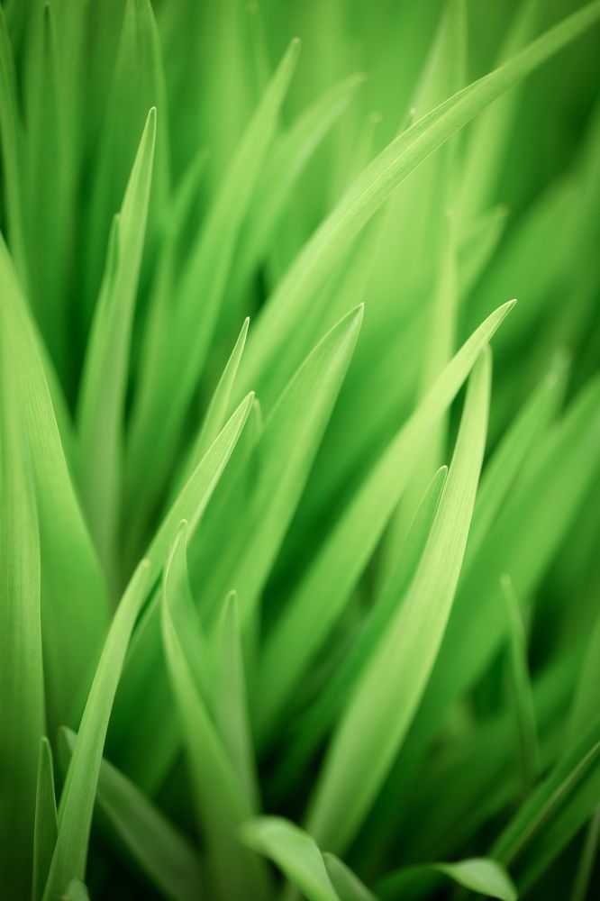 Photograph by Анастасия Петрова