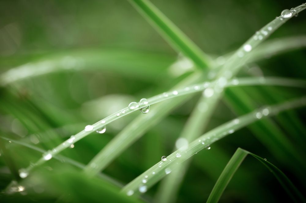 Photograph by Анастасия Петрова