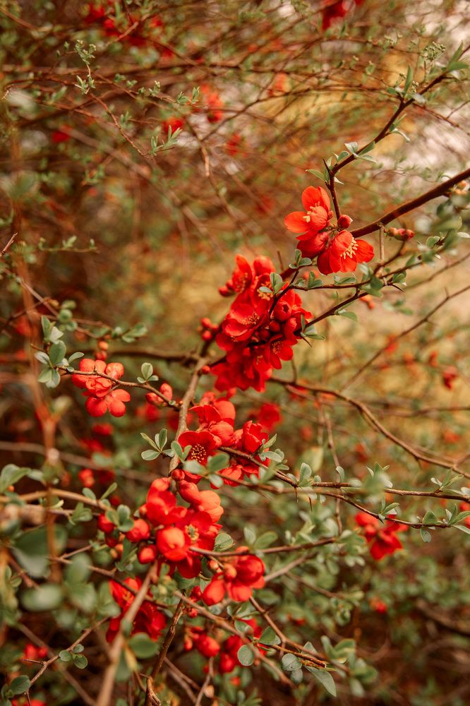 Photograph by Екатерина Шефер