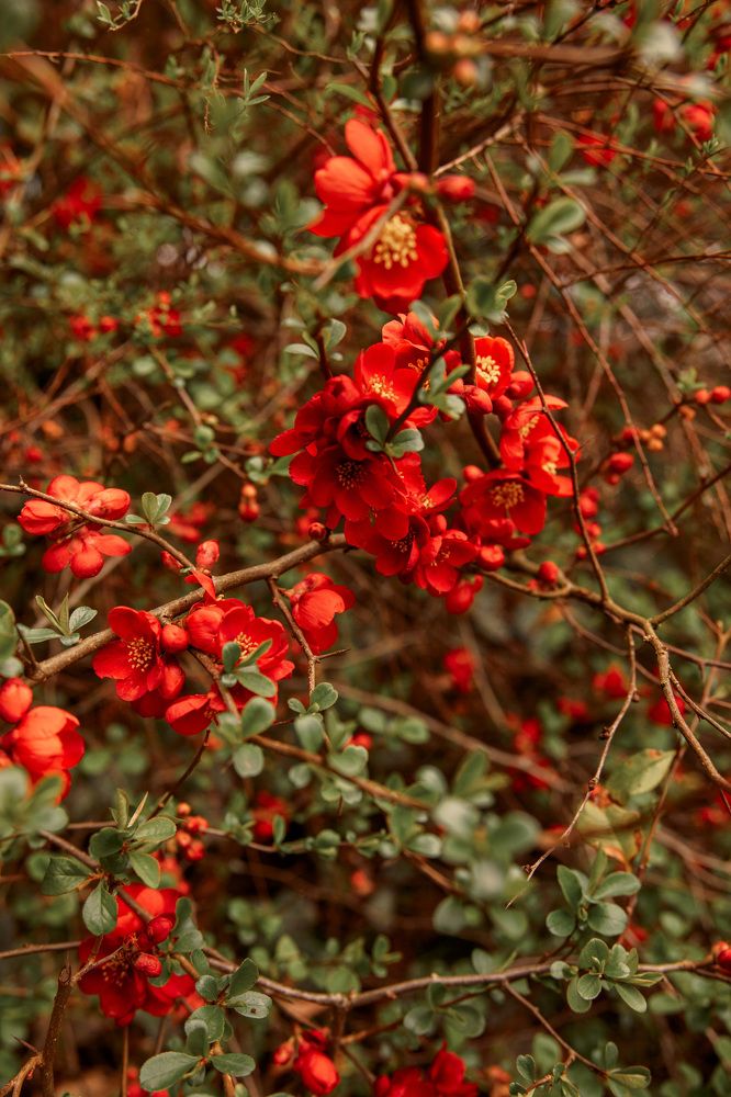 Photograph by Екатерина Шефер