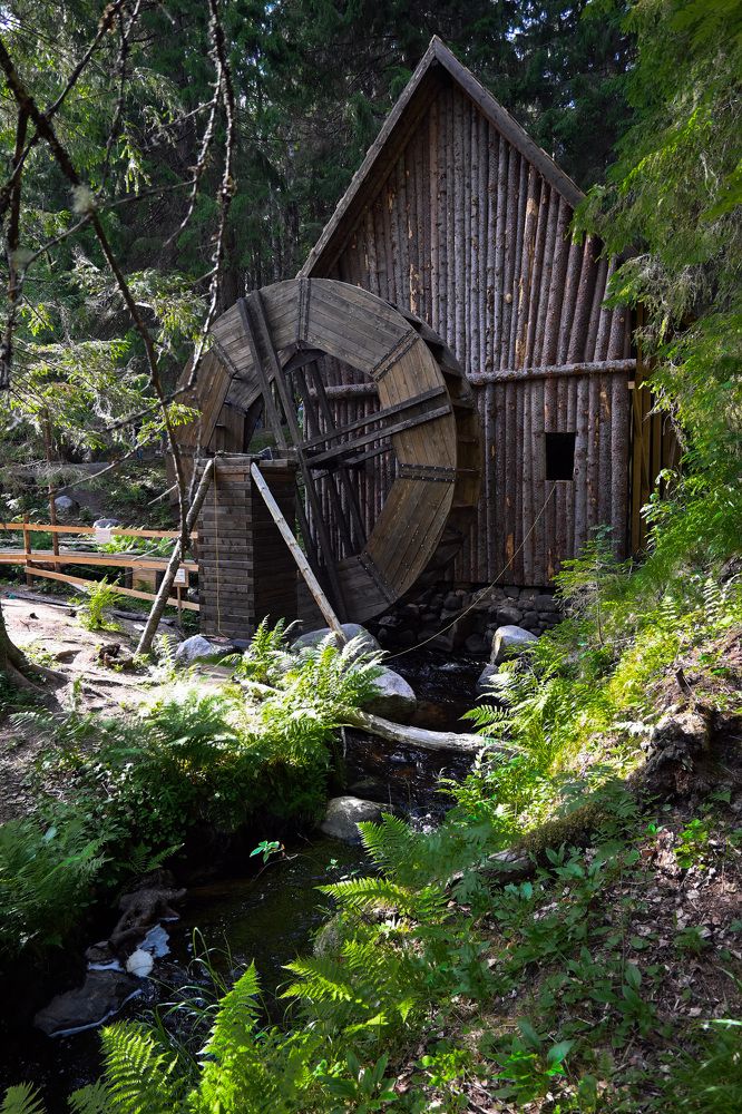 Фотография автора Larisa Meshkova