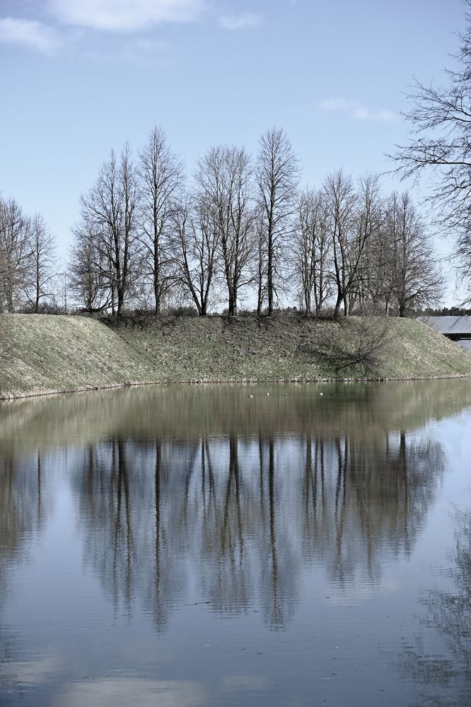 Фотография автора Larisa Meshkova