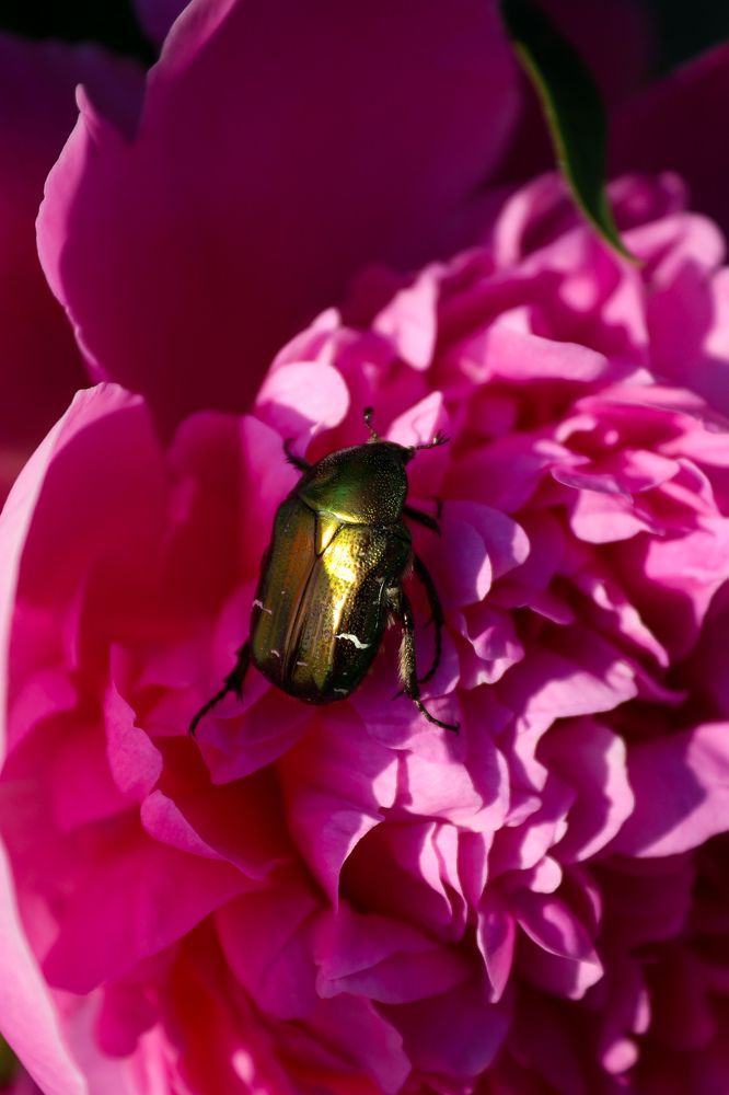 Photograph by Оксана Хабарова