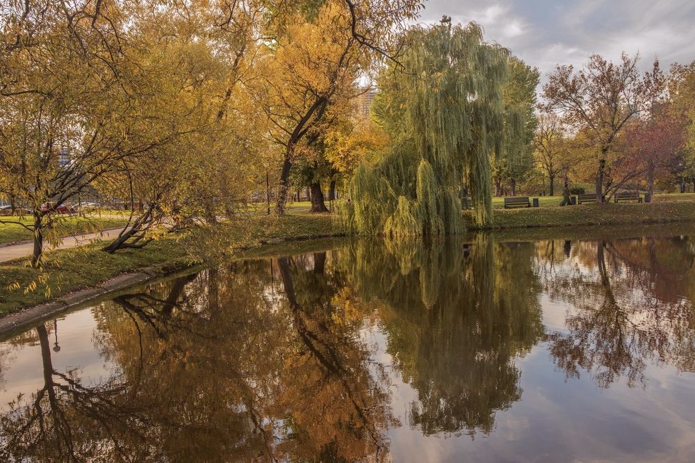 Photograph by Ольга Хентова