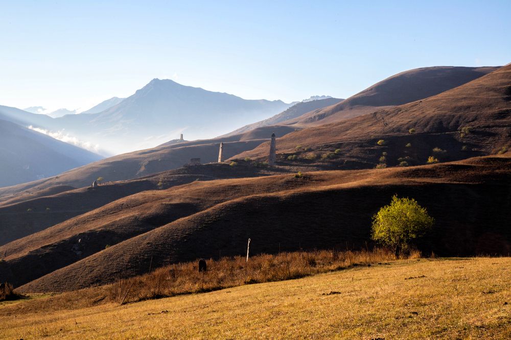 Фотография автора Ирина Гентош