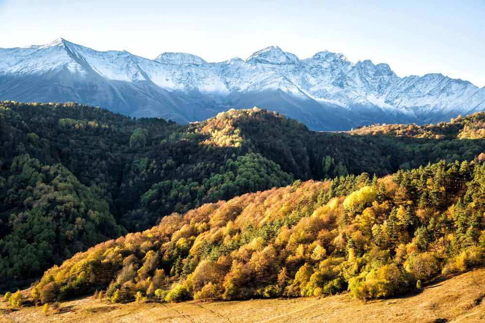 Фотография автора Ирина Гентош