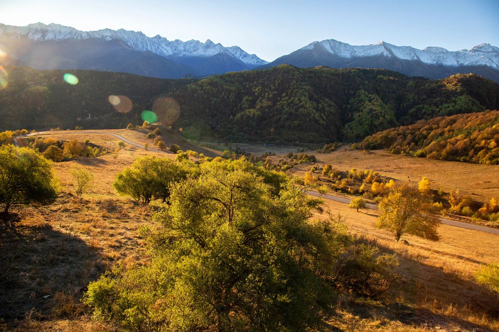 Фотография автора Ирина Гентош