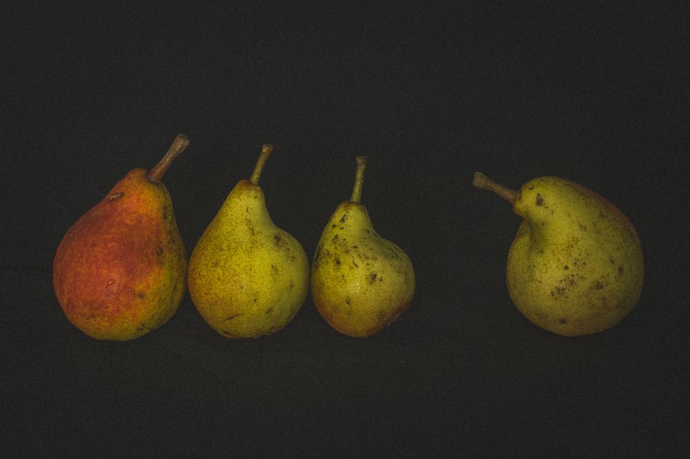 Photograph by Елена Мазурик