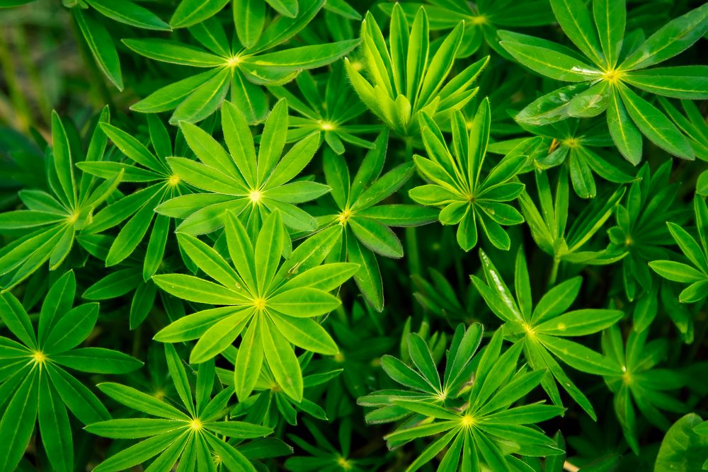 Фотография автора Войнов Дмитрий