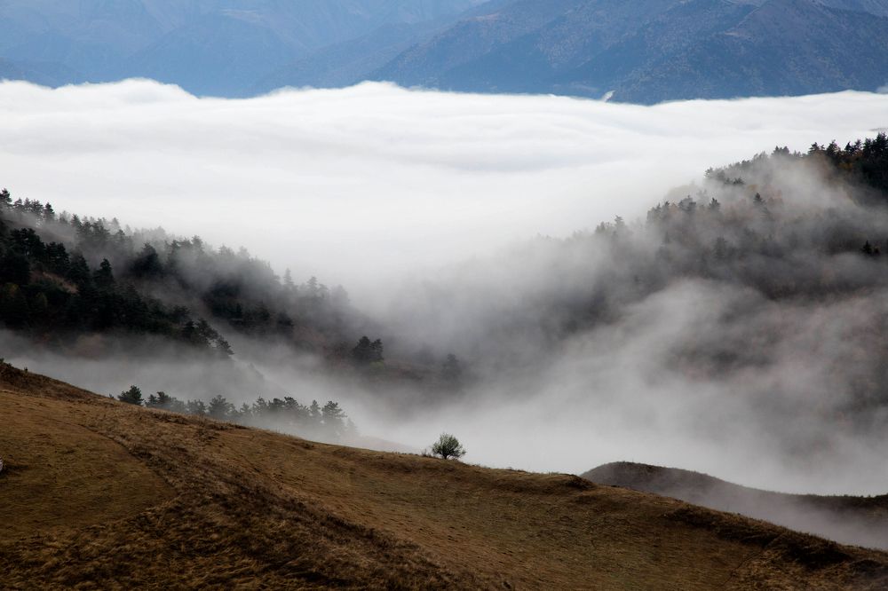 Фотография автора Ирина Гентош