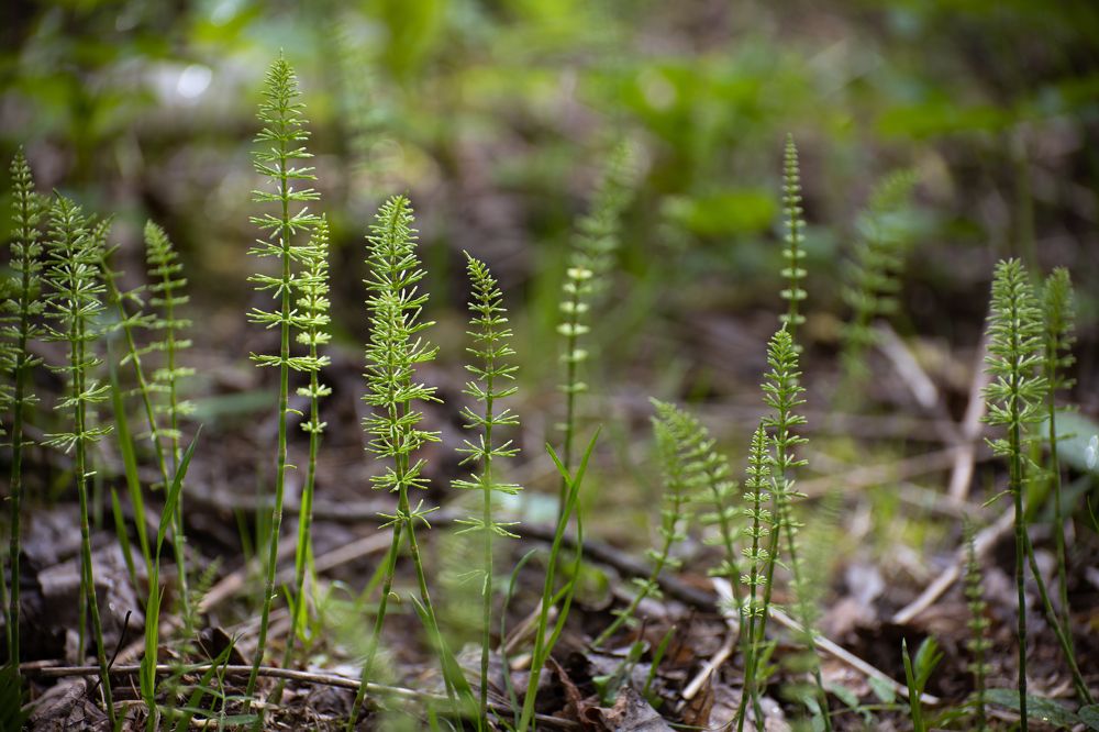 Фотография автора Войнов Дмитрий