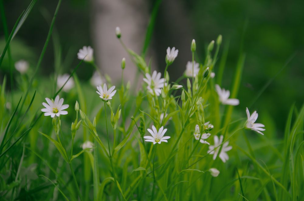 Фотография автора Войнов Дмитрий