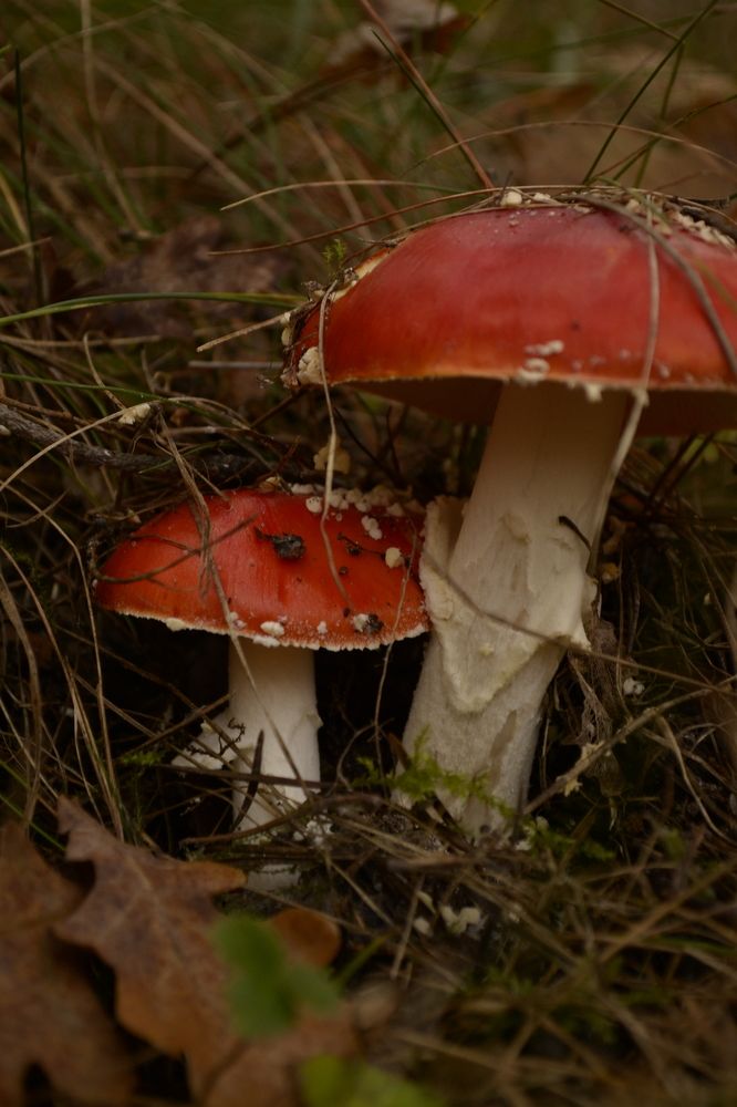 Photograph by Карина Слабкая