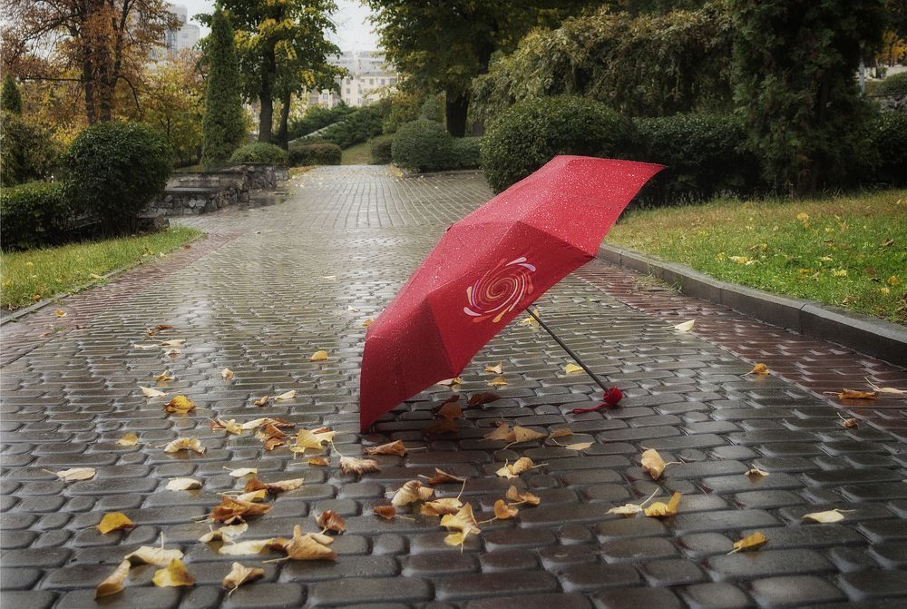 Photograph by Светлана Мельник