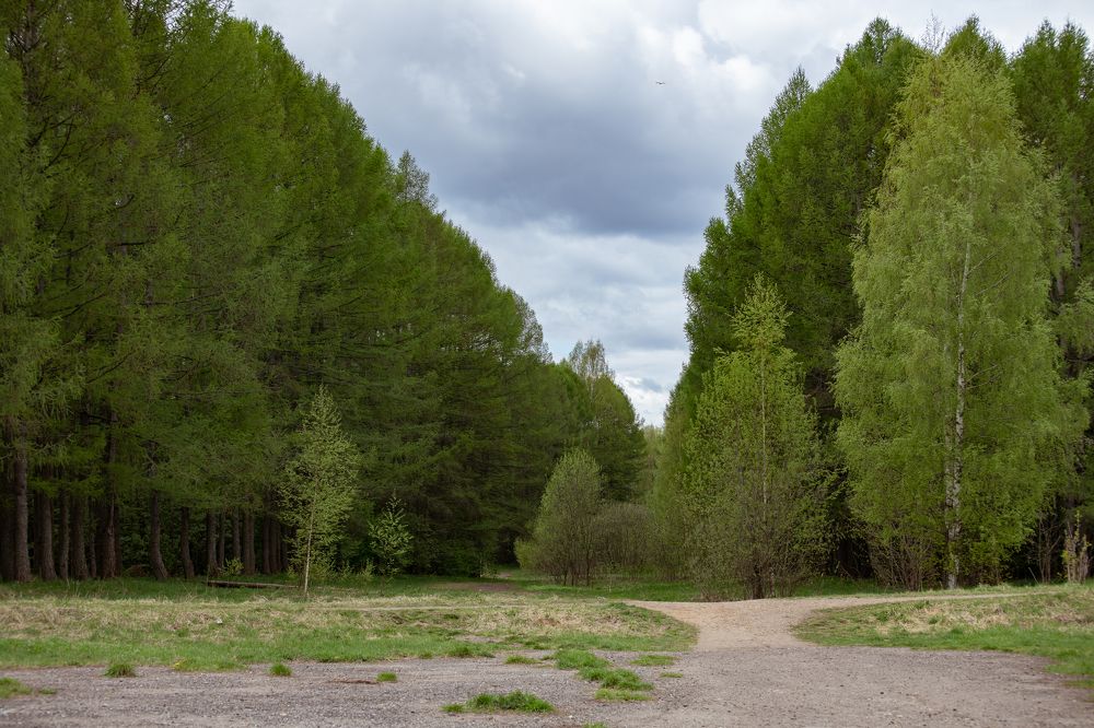 Фотография автора Войнов Дмитрий