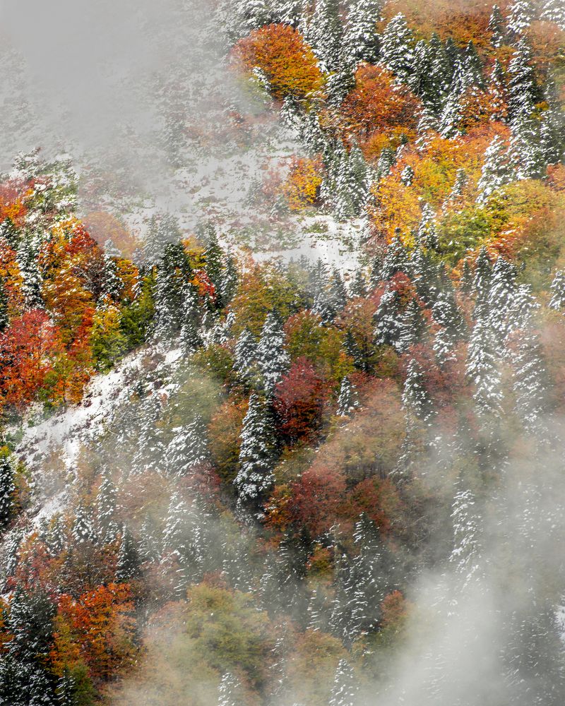 Photograph by Murat TOPAL