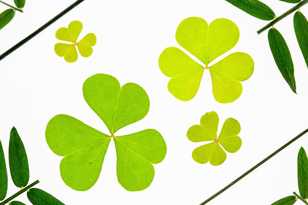 Фотография автора Josef Nový