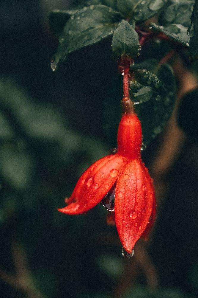 Photograph by Оксана Хабарова