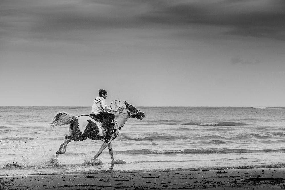 Photograph by seyed mostafa yousefi