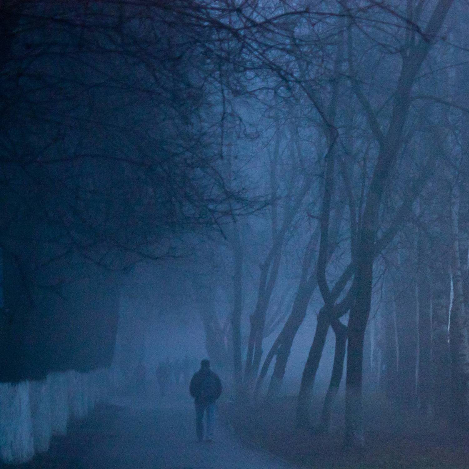 Photo #8233381