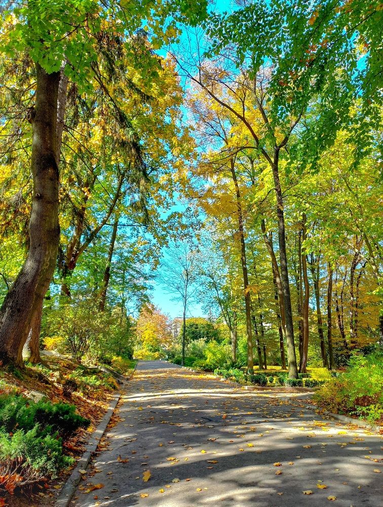 Photograph by Елена Шерман