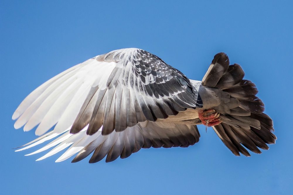 Photograph by Mohammed Elamine Belkhir