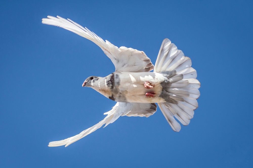 Photograph by Mohammed Elamine Belkhir