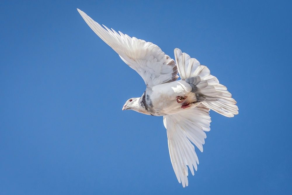 Photograph by Mohammed Elamine Belkhir