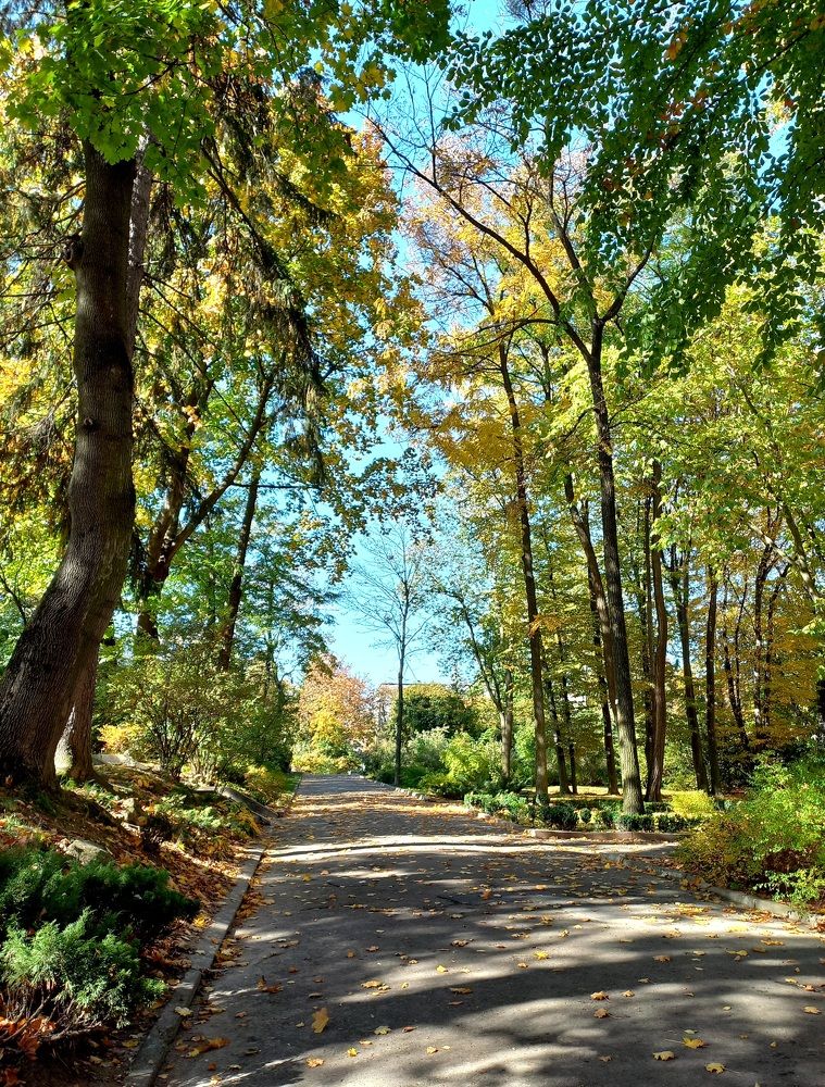 Photograph by Елена Шерман