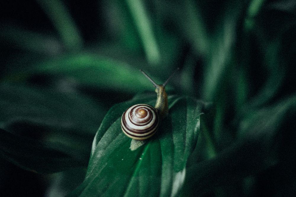 Photograph by Елена Мазурик