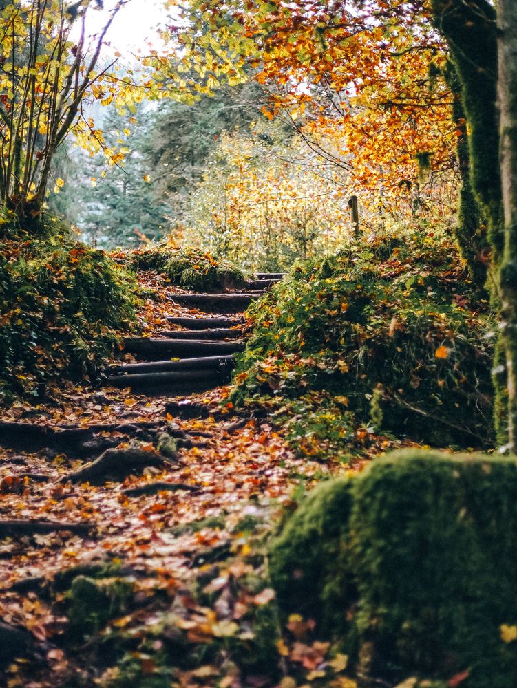 Photograph by Оксана Хабарова