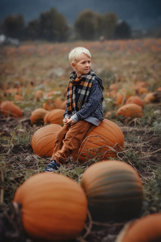 Photograph by Oksana Bandyuk