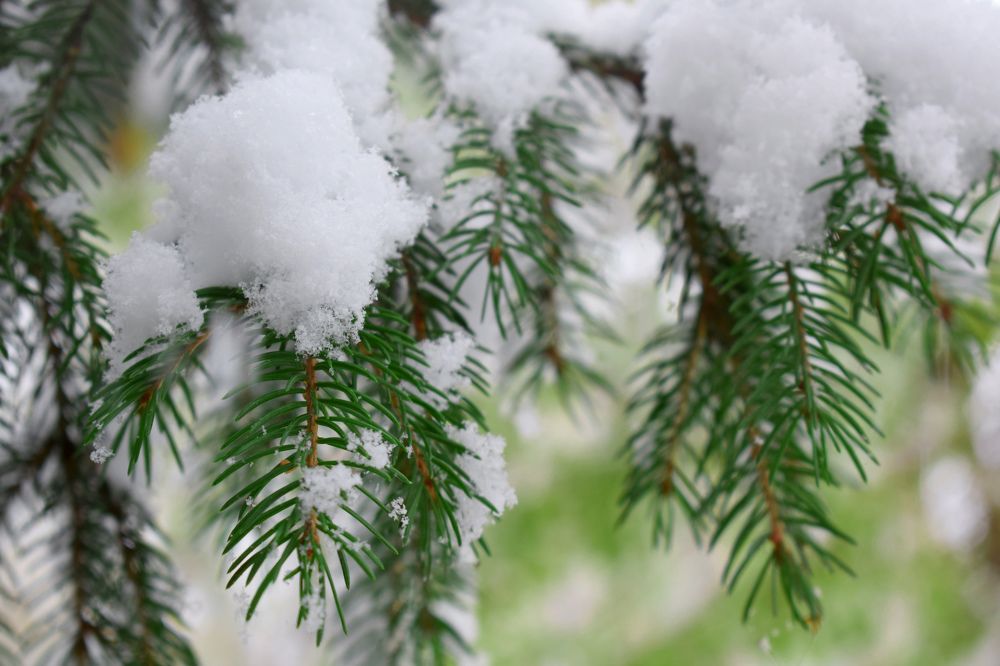 Photograph by  Татьяна Дорожко