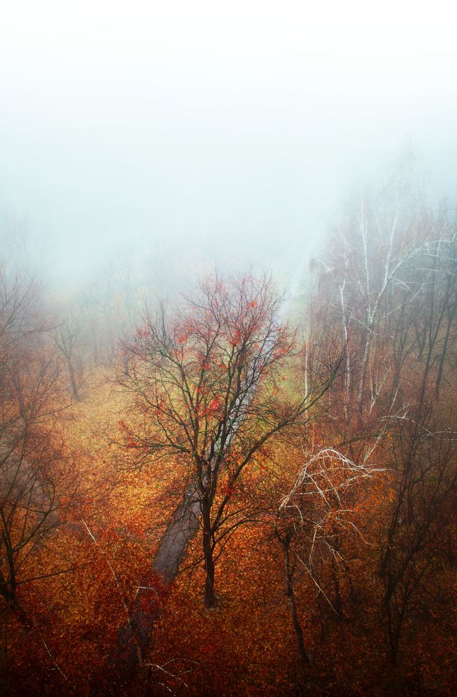 Photograph by Володя Овчаров