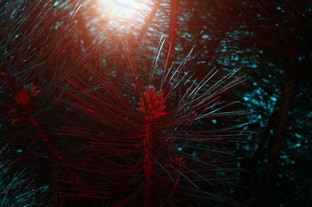 Photograph by Хисматулин Ренат